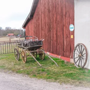 En gammal fyrhjulig hästvagn står framför en rödmålad lada med vitrappad väggdel och ett lutande vagnshjul. (illustrationsbild)