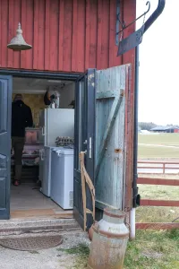 En öppen dörr till en gårdsbutik i rödmålad träbyggnad med en gammal mjölkkanna framför. (illustrationsbild)