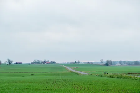 Ett vidsträckt grönt åkerlandskap med slingrande asfaltväg och röda gårdsbyggnader under mulen himmel. (illustrationsbild)