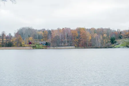 En sjöstrand med höstfärgad skog och några röda stugor mellan träden under mulen himmel.