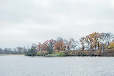 Lugn sjöstrand med lövträd i höstfärger under mulen himmel