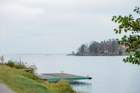 Höstlig trädgårdsmiljö med löv och grönska.