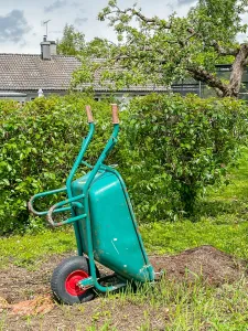 En turkos skottkärra lutar mot en jordhög i en trädgård med blommande fruktträd.