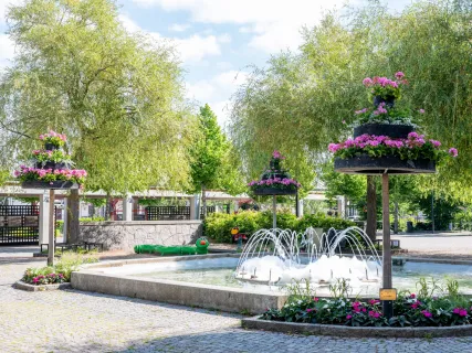 En springbrunn sprutar vatten omgiven av blomsterpelare med rosa geranium i en solig stadspark med pilträd och kullerstensplattor.