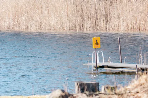 En brygga med badstege ligger vid kallt vatten framför tät vass.
