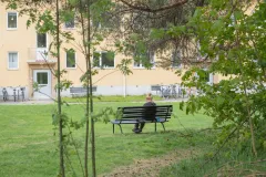 En person sitter ensam på en parkbänk framför ett gult flerbostadshus en grön sommardag.