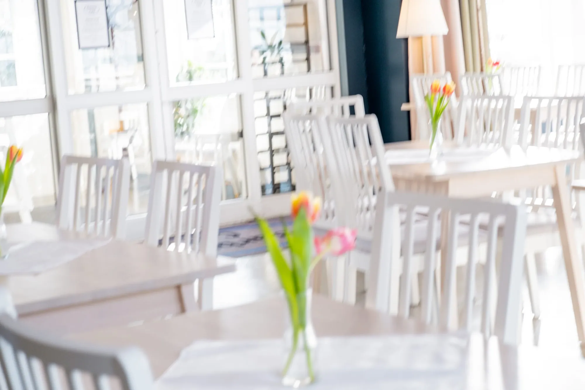 Helles Café mit weißen Holzstühlen und Tulpen in Vasen auf den Tischen.