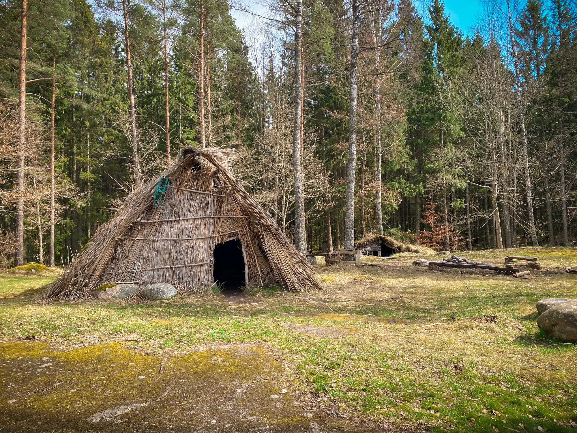 Rekonstruerad stenåldershydda i skogsglänta vid Vrå.